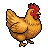 Gold/Brown Chicken