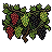 Grape Plant in Soil