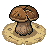 Mushroom in Soil