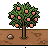 Foxstead Peach Tree