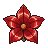 Red Flower